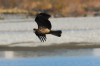 DSC_0064.JPG